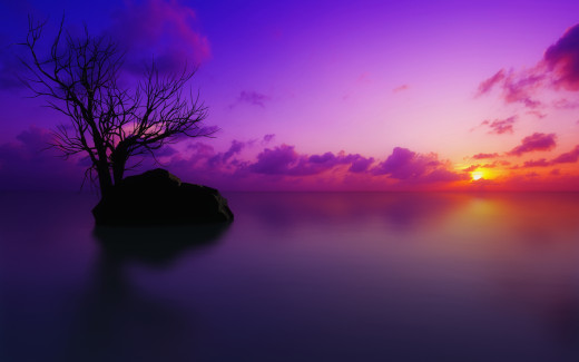 486694 (a): :2560x1600